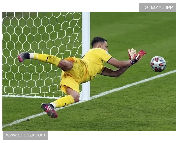 多纳鲁马点球小抄事件引发争议